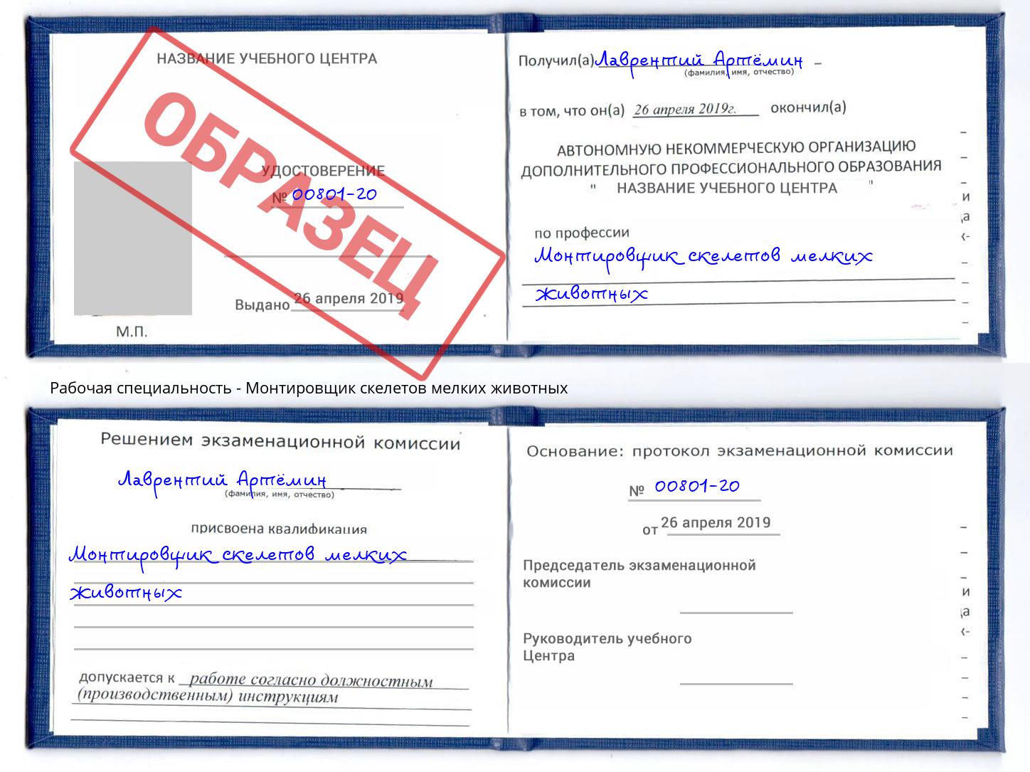Монтировщик скелетов мелких животных Краснокамск